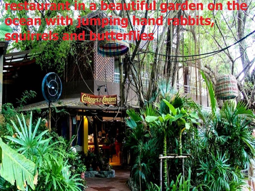 Двух-Комнатная Квартира В Кондоминимуме "Tropikal Garden" Pattaya Exteriör bild